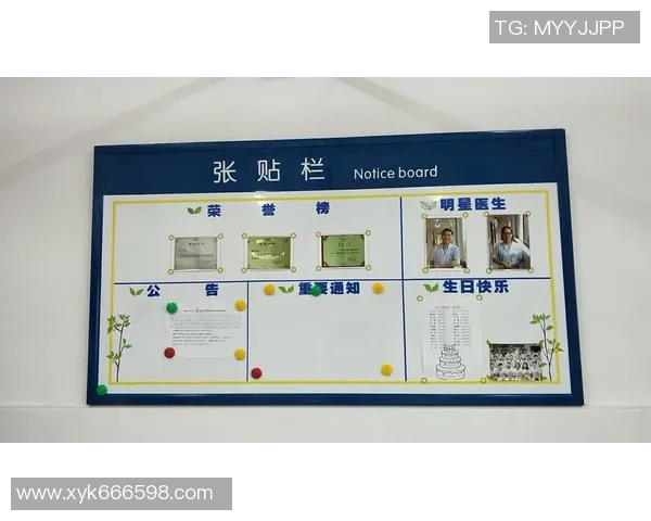 足球明星荣誉榜全景回顾与获奖历程详解 足球明星荣誉榜全景回顾与获奖历程详解