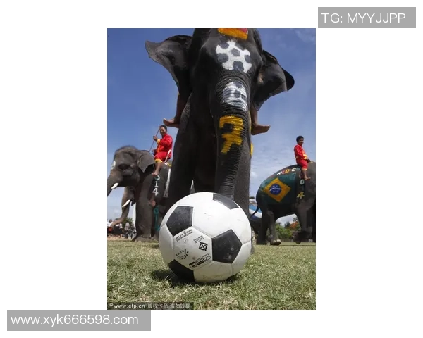 从剪刀石头布到绿茵场的传奇之路揭秘足球明星的成长历程 从剪刀石头布到绿茵场的传奇之路揭秘足球明星的成长历程