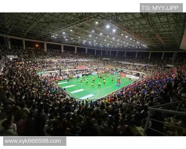 深圳排球队在杯赛中的灵活性展现与战术调整分析