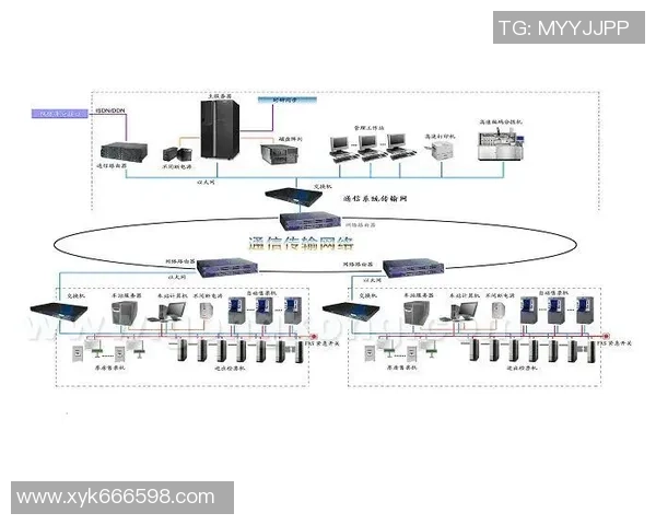 上海排球队运营策略分析与发展前景探讨 上海排球队运营策略分析与发展前景探讨